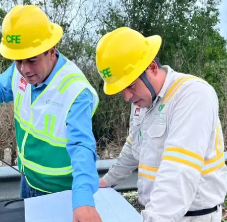 Trabajadores de CFE
