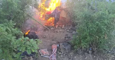 Destruccin de campamento clandestino en inmediaciones de Opodepe