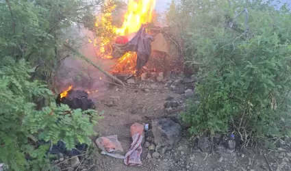 Destruccin de campamento clandestino en inmediaciones de Opodepe