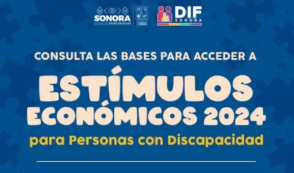 Est�mulos Econ�micos 2024