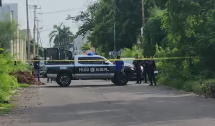 Asesinatos en Sinaloa