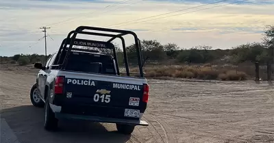 Localizan tres cadveres en campo agrcola de la Costa