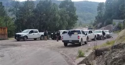 Localizan 5 cuerpos sin vida en una camioneta, en Chihuahua