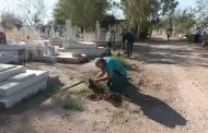 Realizan jornada de reforestacin en el Panten Yez