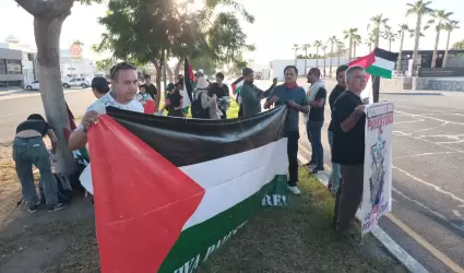 Manifestacin pro Palestina