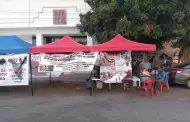 Galleros de Sonora cumplen una semana en plantnfrente al Congreso del Estado.