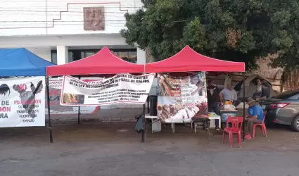 Galleros en plantn frente al Congreso del Estado