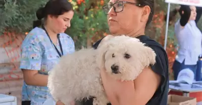 Jornada de Salud Canina y Felina