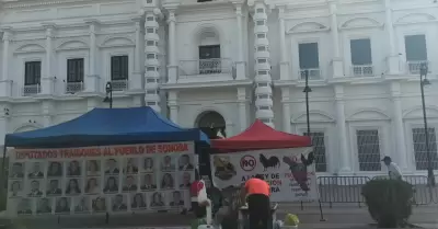 Plantn de galleros frente a Palacio de Gobierno