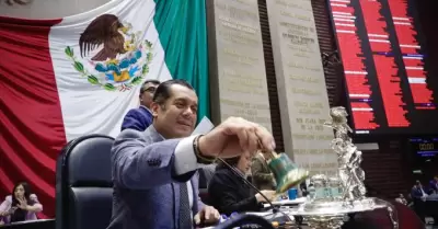 Cmara de Diputados