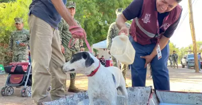 Jornada de Salud Canina y Felina