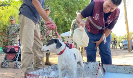 Jornada de Salud Canina y Felina