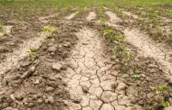 Piden declarar zona de desastre al Valle del Yaqui por la falta de agua