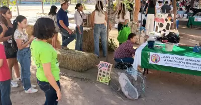 Rally de la Niez Cientfica en la Universidad de Sonora