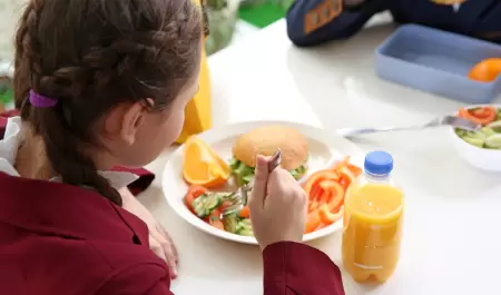 Alimentacin, escuela, nia, clases, cooperativas escolares, alimentacin saluda