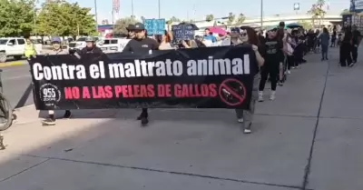 Marcha a favor de la aplicacin de la Ley de Proteccin y Bienestar Animal en su