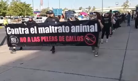 Marcha a favor de la aplicacin de la Ley de Proteccin y Bienestar Animal en su