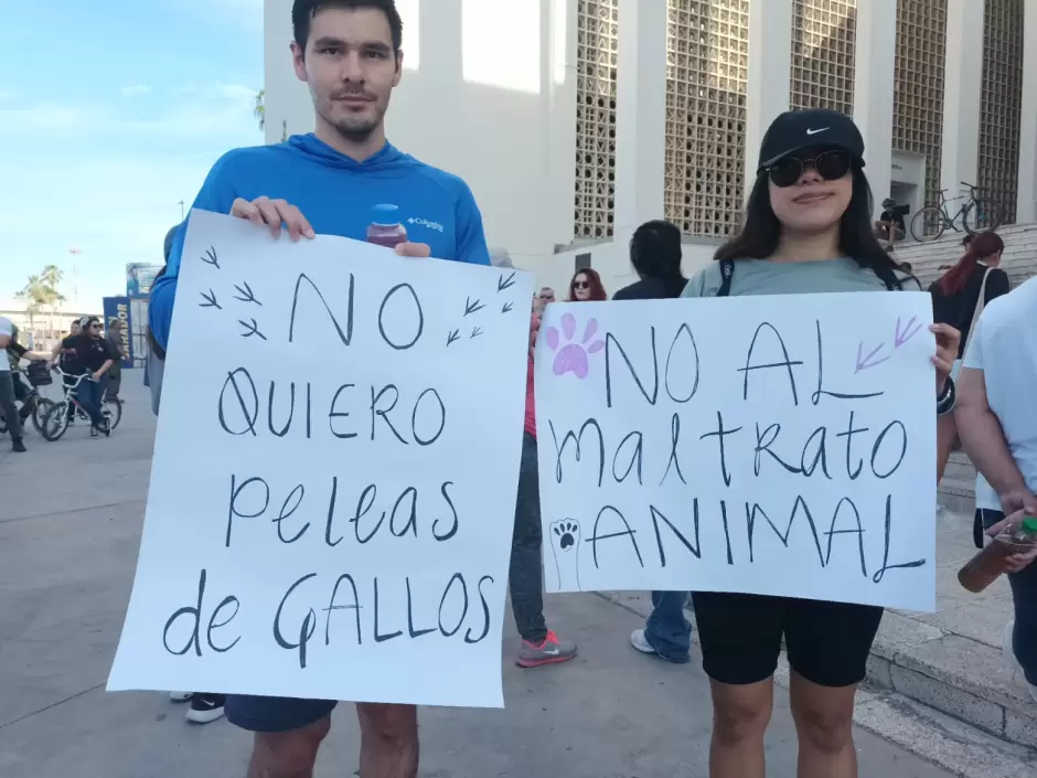 Manifestacin de animalistas