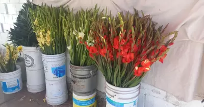 Venta de flores en los panteones