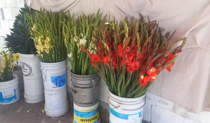 Venta de flores en los panteones