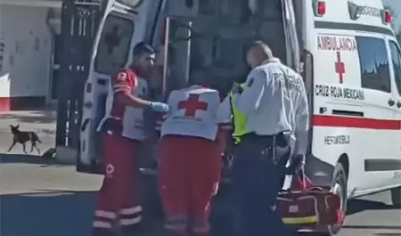 Arrolla vehculo a un menor en la colonia Puerta del Rey