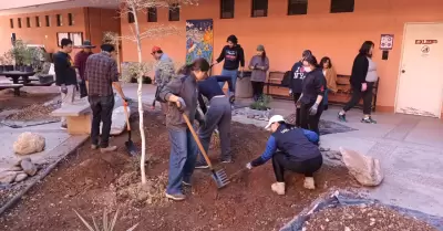 Jardn polinizador en la escuela de arquitectura y diseo de la Unison.