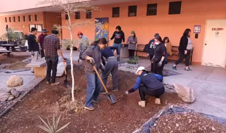 Jardn polinizador en la escuela de arquitectura y diseo de la Unison.