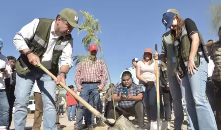 Llevan el programa Hermosillo Crece Verde a La Cholla