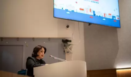 Gabriela F�lix, diputada de Movimiento Ciudadano