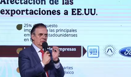 Marcelo Ebrard, titular de la Secretara de Economa.