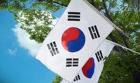 bandera coreana, la bandera de corea del sur, corea del