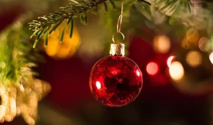 vacaciones de Navidad