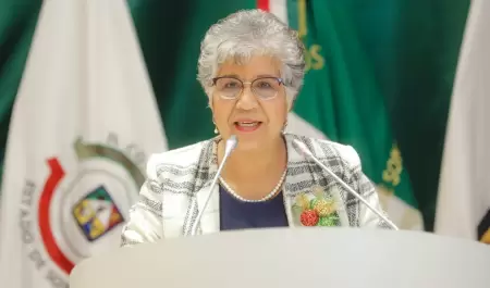 Diputada Rebeca Irene Silva