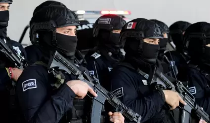 Seguridad P�blica Sonora