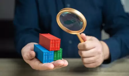 pirater�a, contrabando, aduana