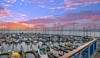 San Francisco California EE.UU.