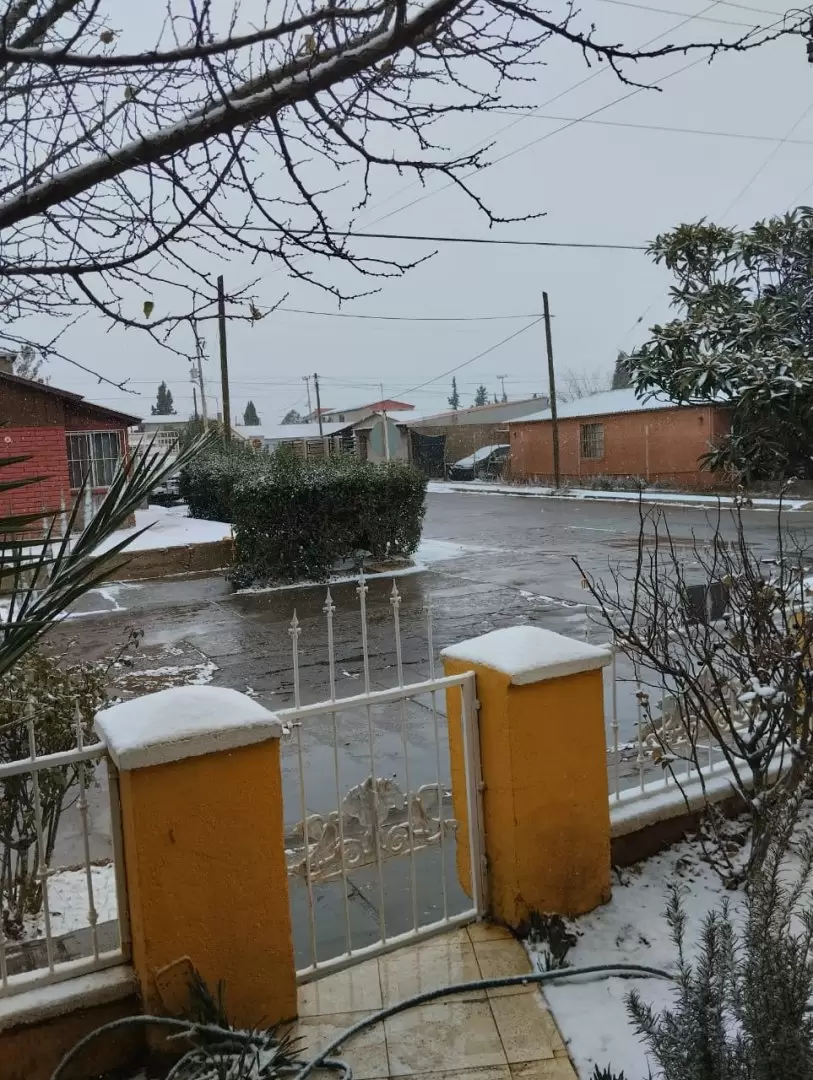 Nieve Cananea