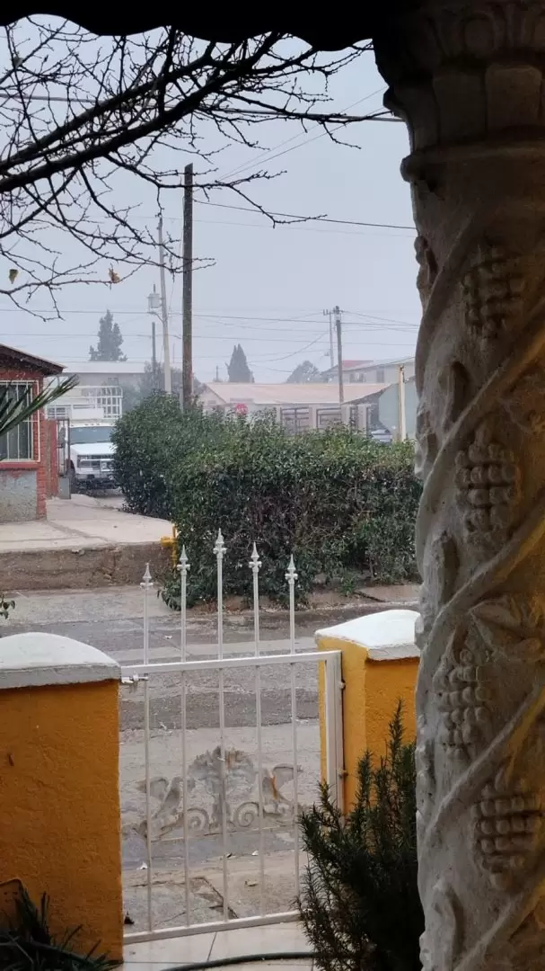 Nieve Cananea