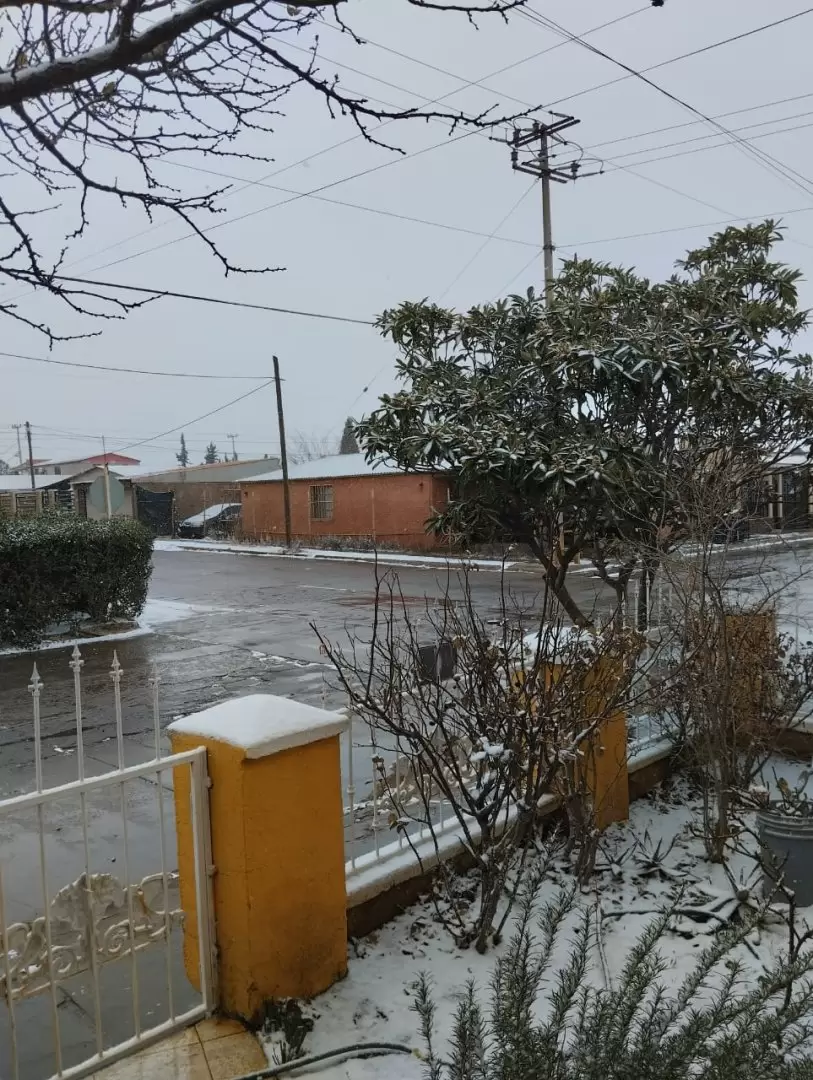 Nieve Cananea