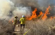 Conafor prev intensa temporada de incendios