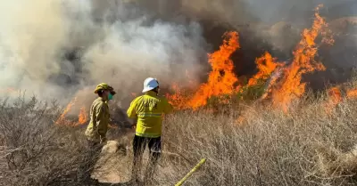 Incendios forestales