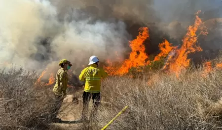 Incendios forestales