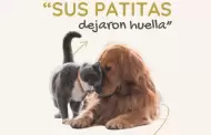 Realizarn taller "Sus patitas dejaron huella"