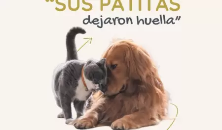 Sus patitas dejaron huella