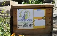 Se han plantado 300 rboles y arbustos nativos en Bosque Memorial del Panten Yez