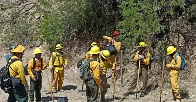 Incendios forestales