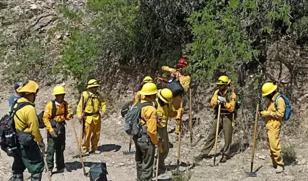 Incendios forestales