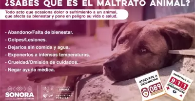 Maltrato animal