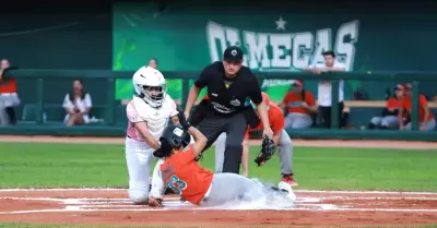 Naranjeros Softbol Femenil