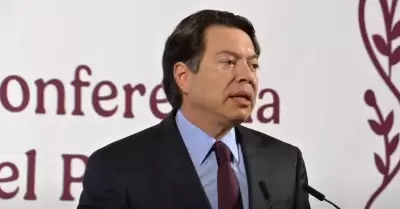 Mario Delgado, secretario de Educacin